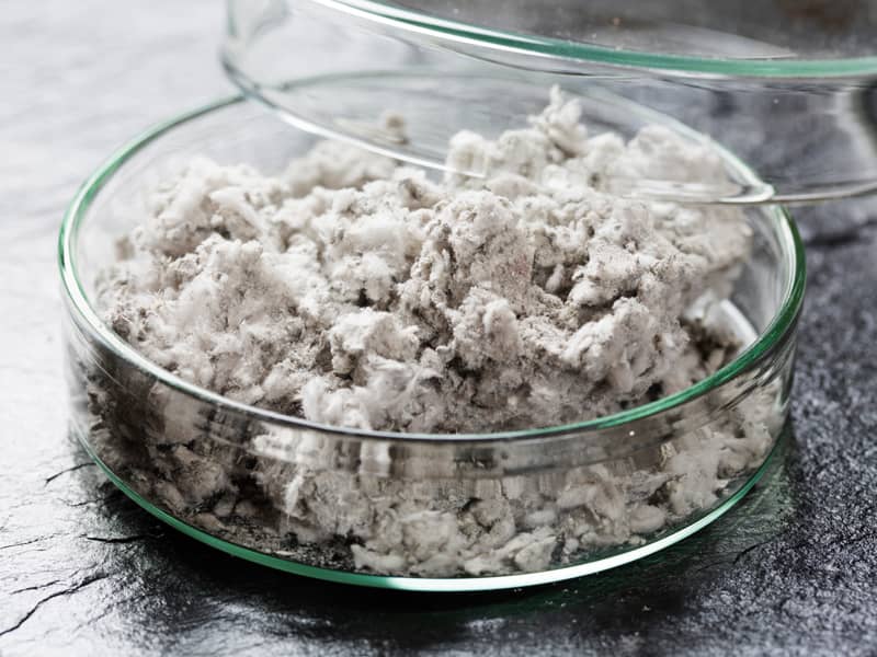 Abestos fibres inside a glass container.